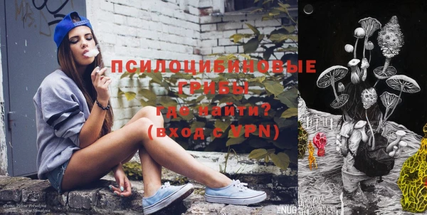 дмт Ладушкин