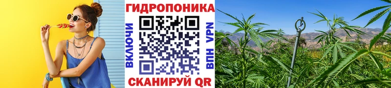 Шишки марихуана VHQ  наркошоп  Вихоревка 